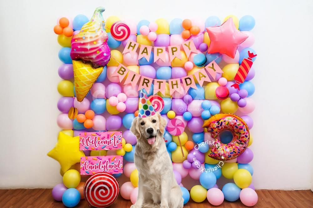 Pet Party